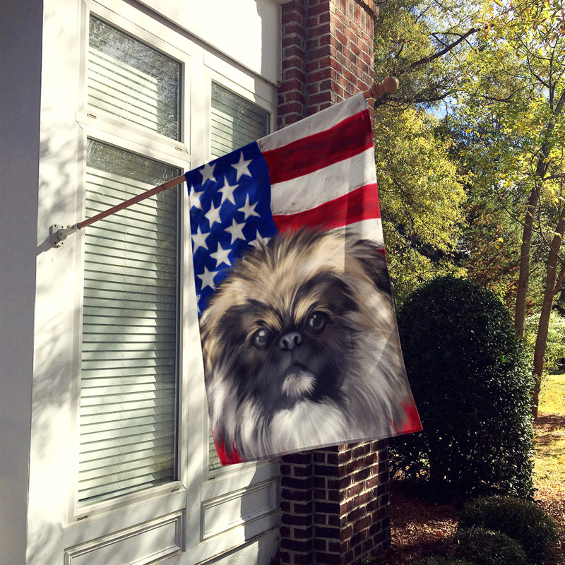 Polyester à 2 côtés 28 x 40 po drapeau maison, Chien chinois à crête