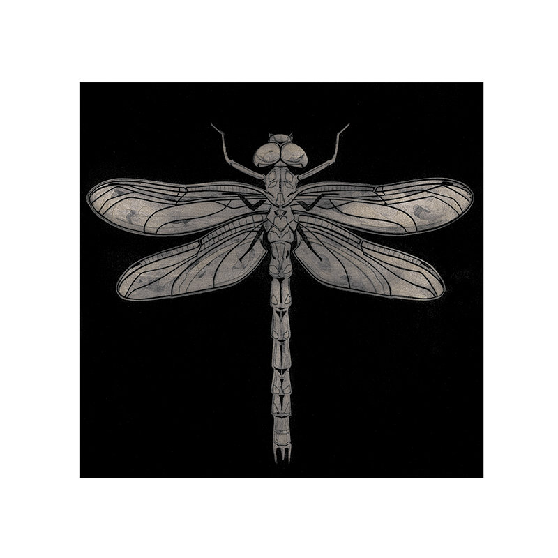 Barry Goodman - Painting, Paper, No Mount, 30cm H x 30cm W