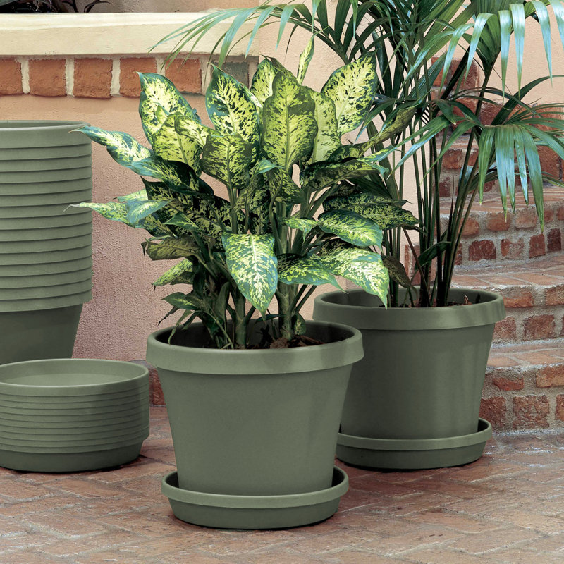 Terra Traditional Plastic Indoor/Outdoor Pot Planter, 14.25" H x 17.5" W x 17.5" D, Living Green