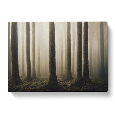Forest Mist Vol.2 - Wrapped Canvas