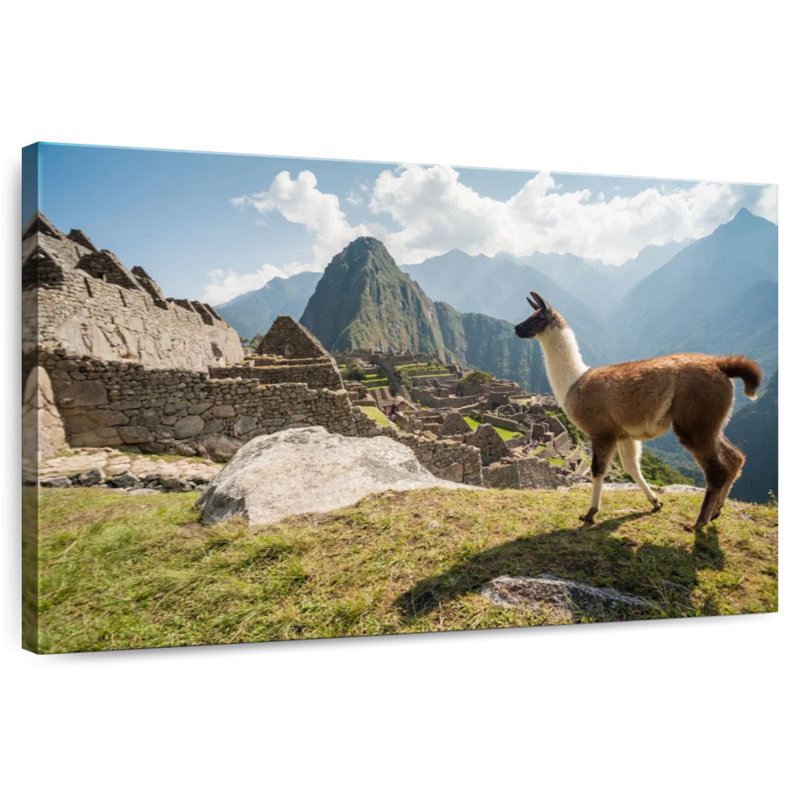 Nicci Llama From Machu Picchu, 30'' H x 45'' W