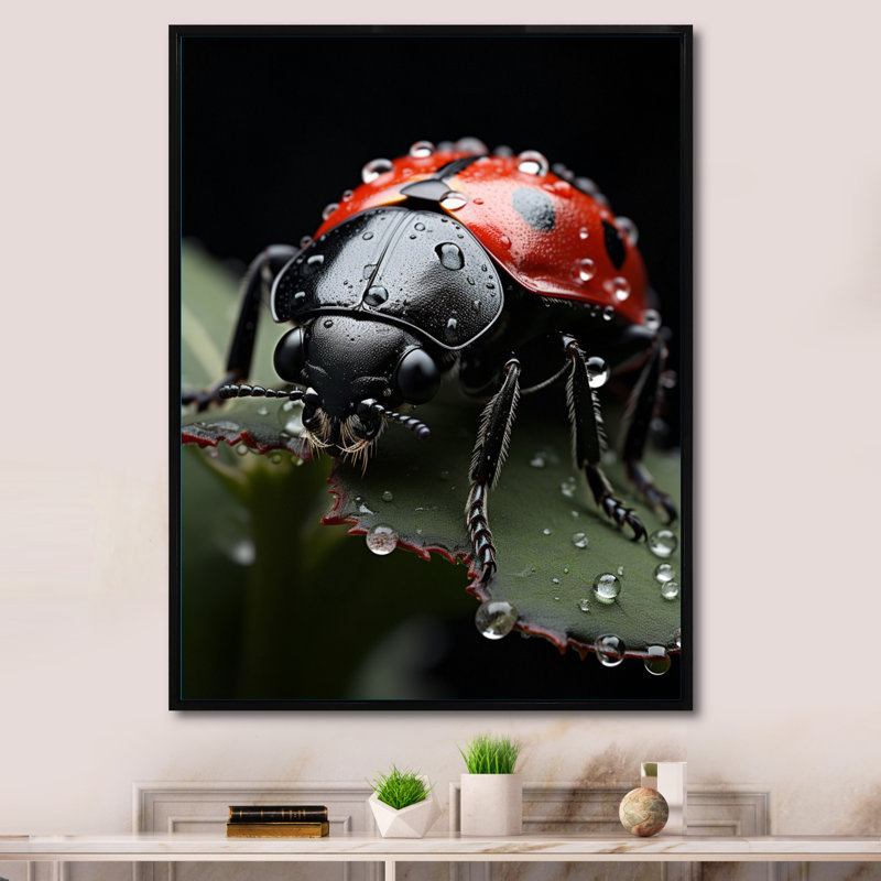 Animal coccinelle I - animaux, impressions sur toile, Cadre flottant noir, H 32 po x l 16 po x P 1 po