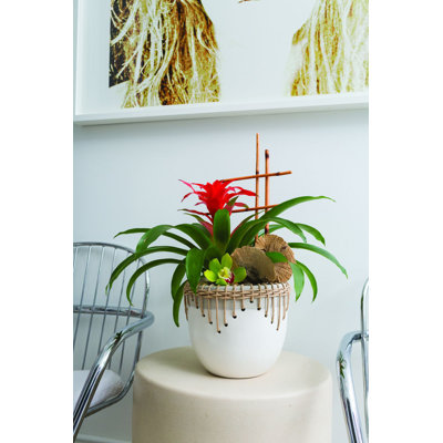 Adalbern Handmade Ceramic Pot Planter