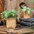 Leopoldo Handmade Pot Planter-1330052774