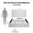 Caron Upholstered Wingback Bed / 54" High Headboard / Simplicity / Minimalist / Without Wooden Slats / Box Spring Request / Easy Assembly / Queen/ Textured Ivory Canvas Chenille-763714778