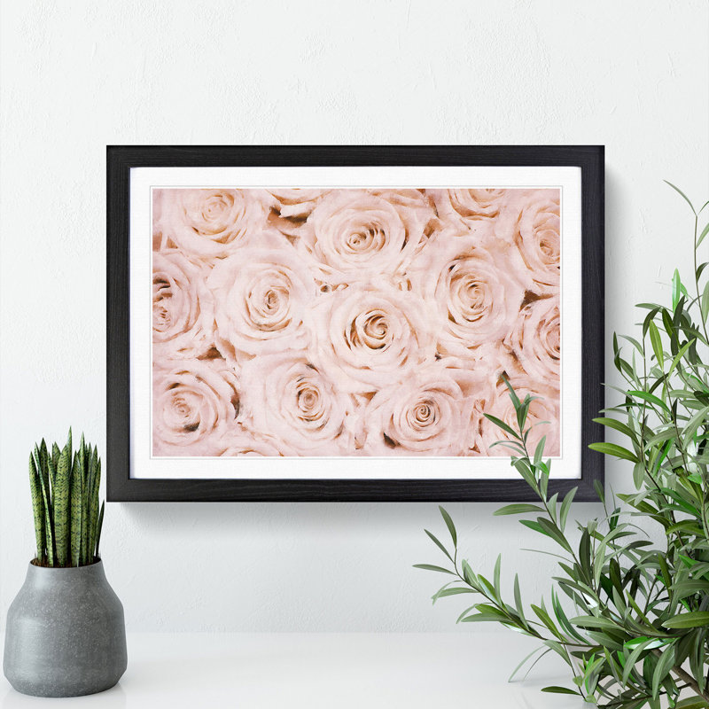 Wall of Pink Roses - Picture Frame Graphic Art Print, Black Framed, 33cm H x 45cm W x 2cm D
