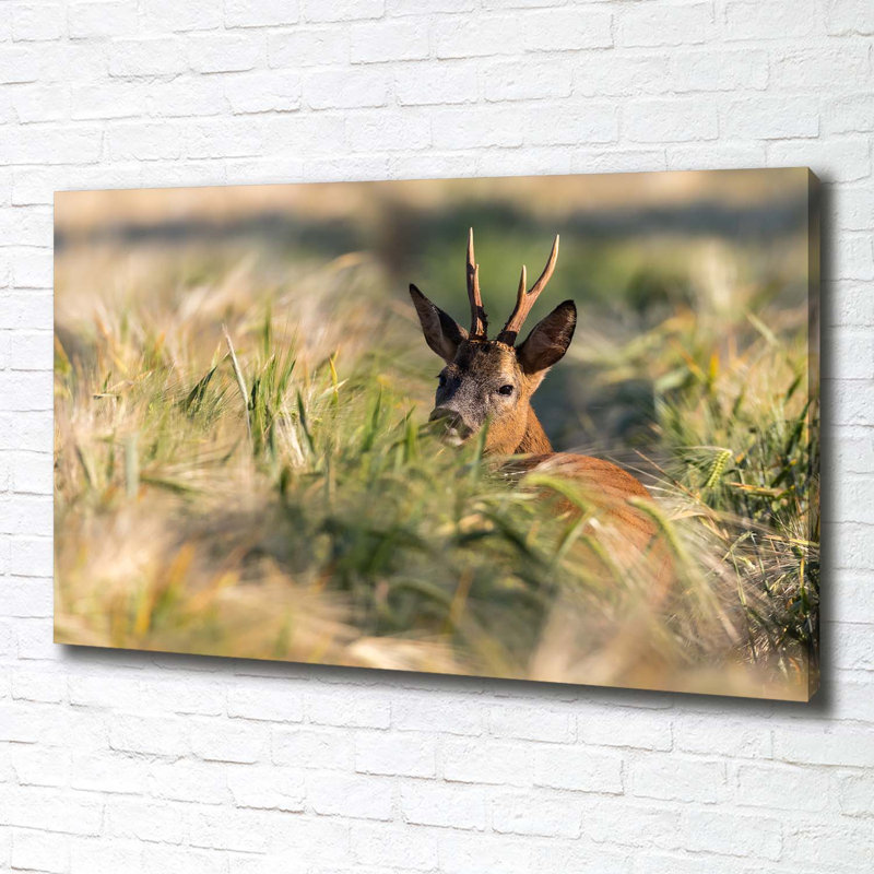 Deer In The Field - No Frame Print on Canvas