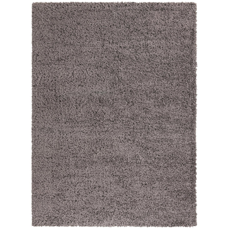 Tapis à poils longs en polyester tissé à la machine de couleur unie Almendarez, Rectangle 8 pi x 11 pi