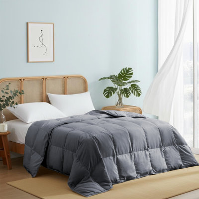 Lightweight Ultra-Soft Natural Feather Down Fiber Comforter/Duvet Insert, Twin