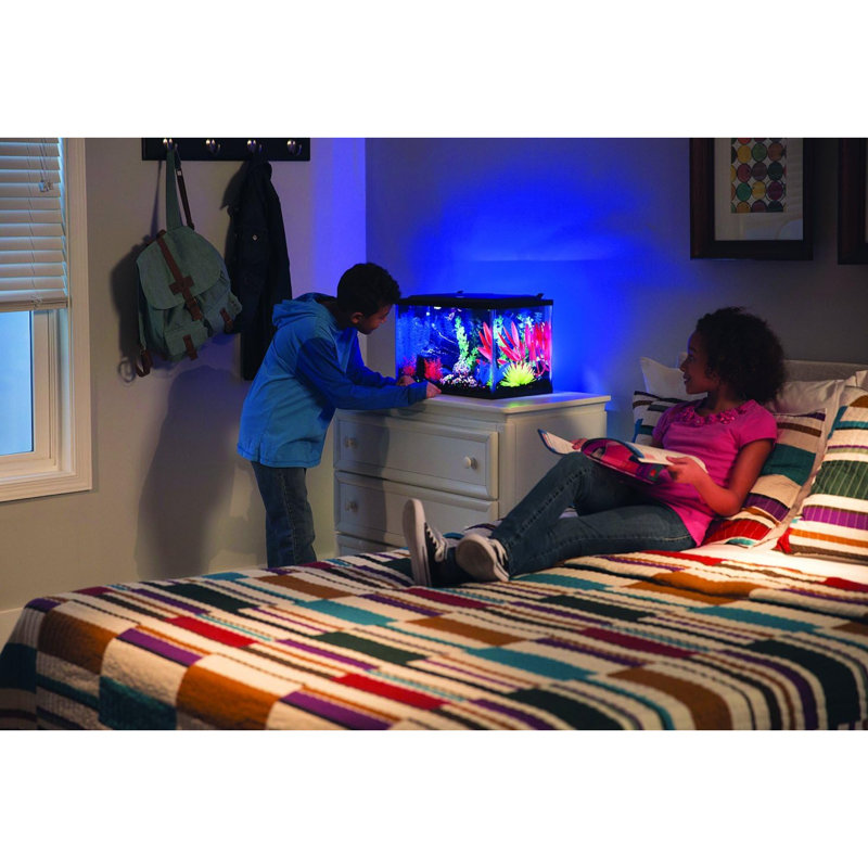 Ensemble d'aquarium 20 gallons avec lumières DEL, chauffe-décor et filtre