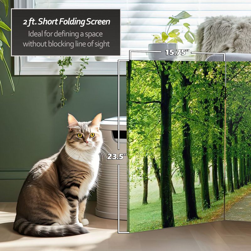 70.88" x 63" Double Sided Path of Life 4 Panel Room Divider, 71" H x 63" W x 1 "D