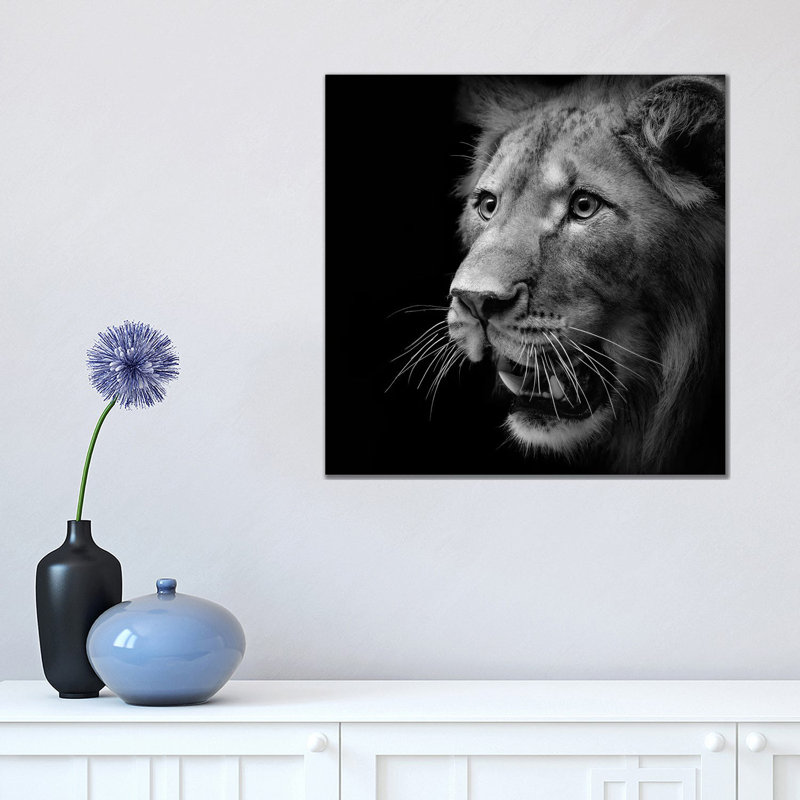 Lion In Black And White III by Lukas Holas - Wrapped Canvas Print, 45.72 cm H x 45.72 cm W