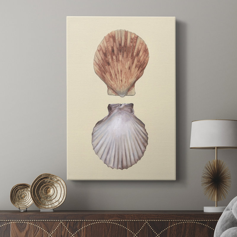 Bivalve Shells III -Custom Wrapped Gallery Cavas, 27" H x 18" W