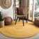 Eastin Hand Woven Cotton Rug