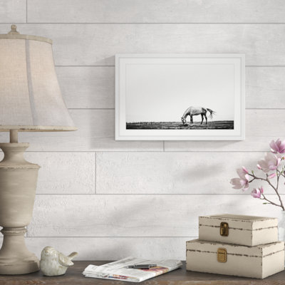 " Lone White Equus " Black and White Photography Print