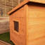 Dog House-1524052802