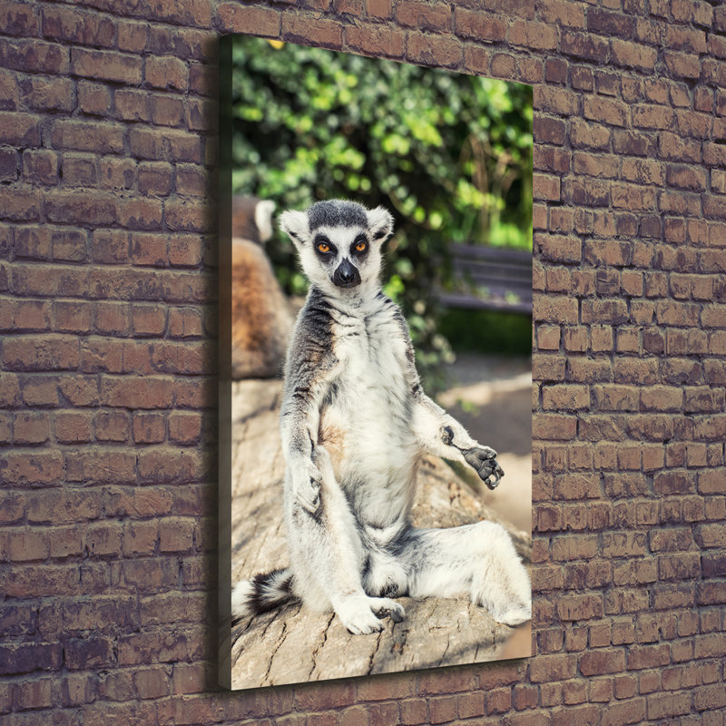 Lemur - Wrapped Canvas Print