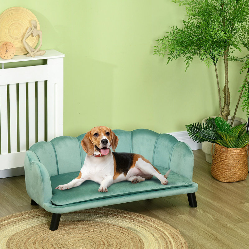 Grand canapé pour chien en velours avec coussin en mousse Pawhut, Vert