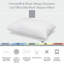 Oreiller en microfibre Signature Cassiopeia, densité ferme-1004068066