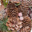 Faux Pinecone Pinecones 18.5'' Wreath-1167599553
