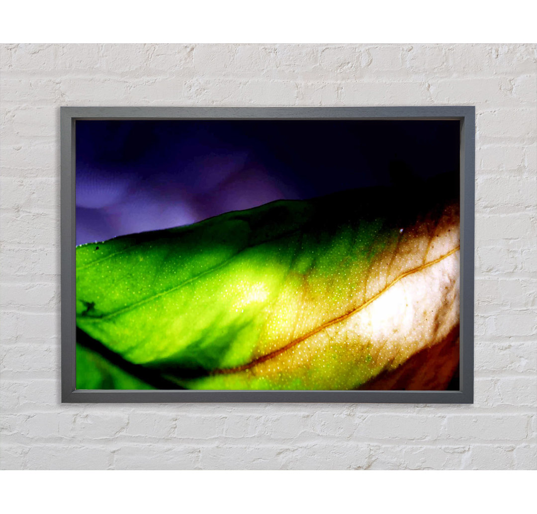 Vibrant Green Leaf Light - Druck