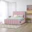 Judsonia Upholstered Ottoman Storage Bed-807438840-807438841