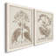 Antique sépia botanicals II, toile encadrée de qualité supérieure - prête à être accrochée-1525360192-1525360194