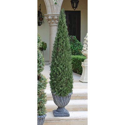 Faux Boxwood Topiary in Resin Urn