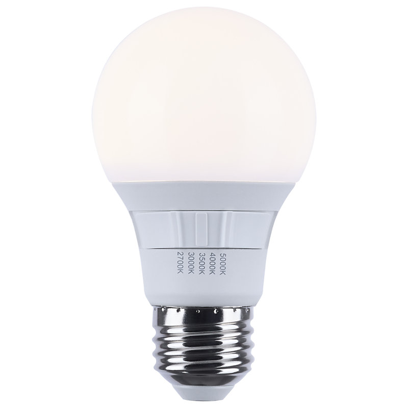 6 Watt White LED Bulb