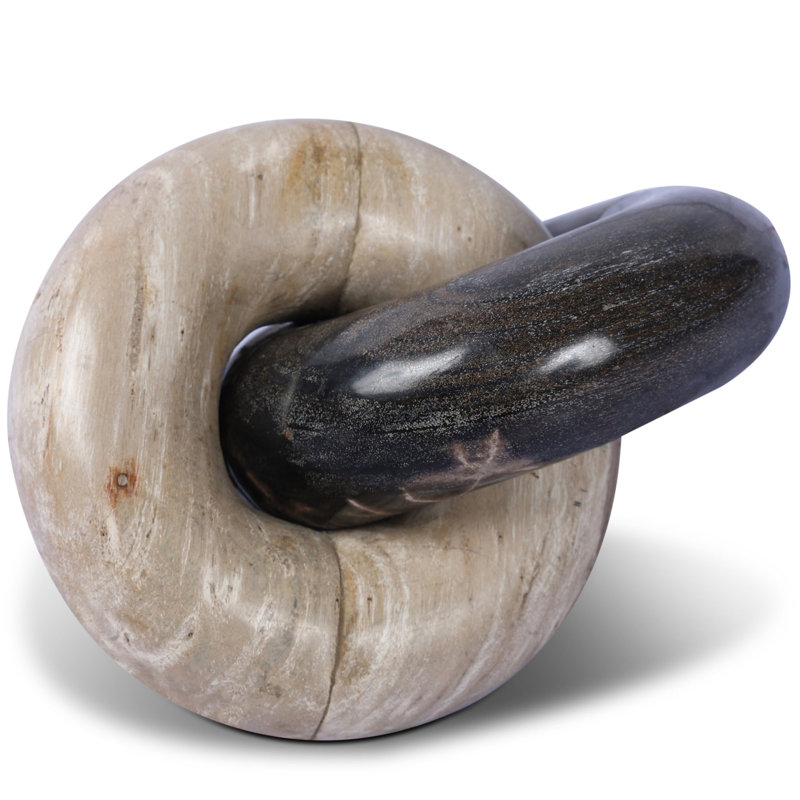Petrified Wood Knot-Dark Petrified Wood