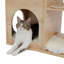 Meuble chat moderne de luxe pour chat