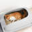 Cat Litter Box-1741340563