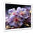White Single Picture Framed