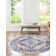 Nycholas Oriental Indoor Rug