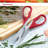 KitchenAid® Classic All-Purpose Kitchen Shears-2145907489