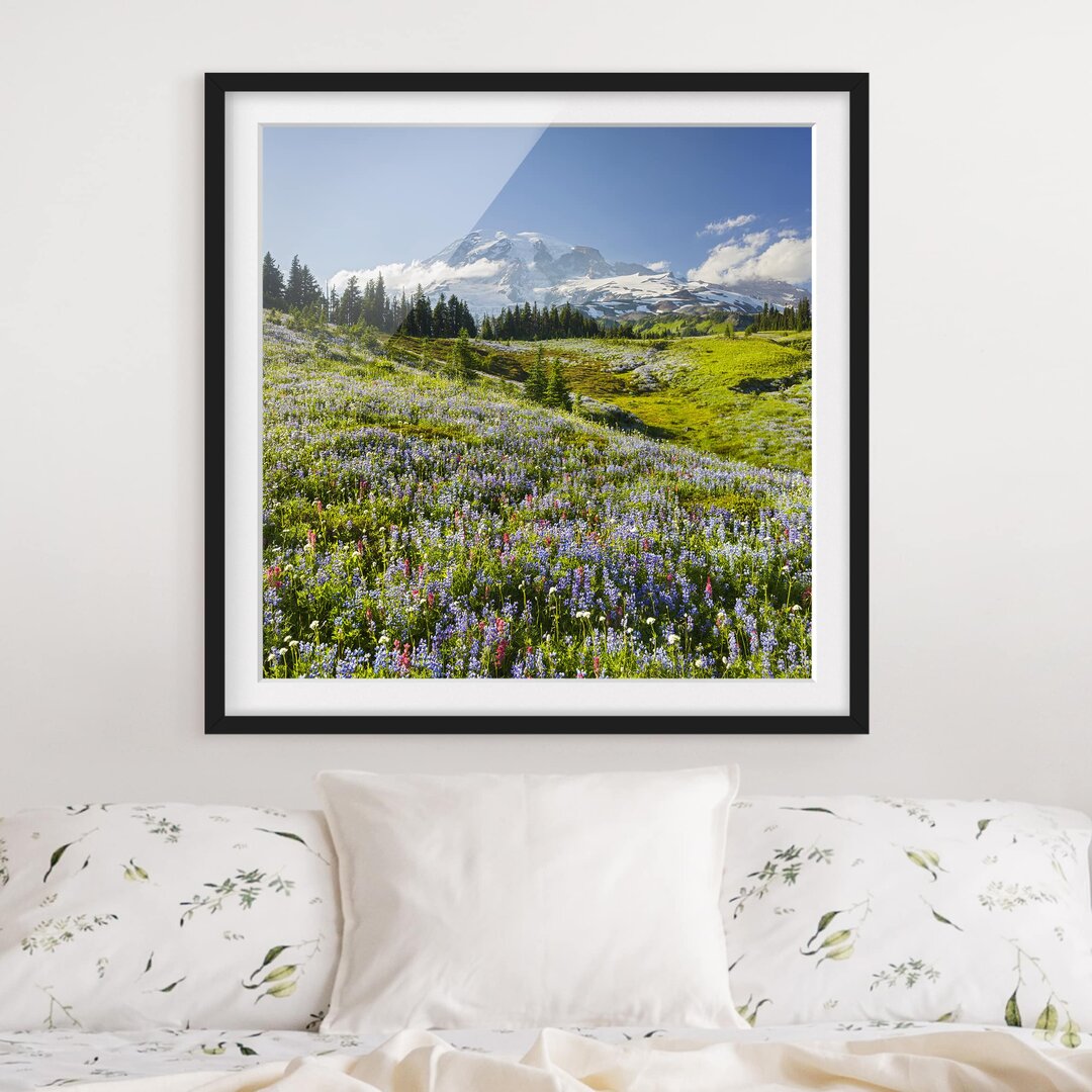 Gerahmter Fotodruck Bergwiese mit Blumen vor dem Mt. Rainier