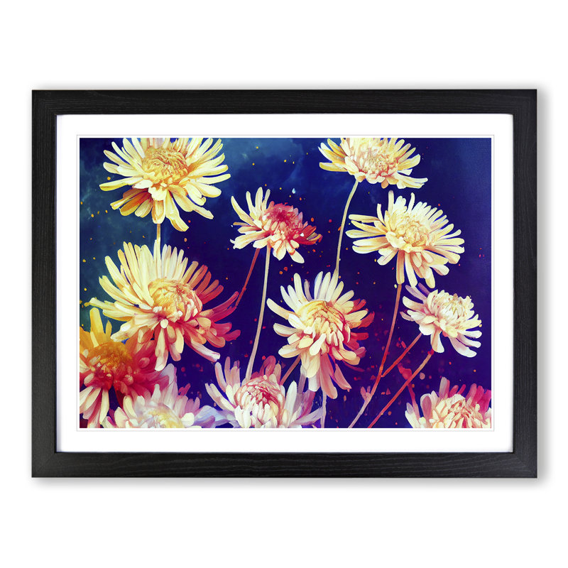 Vibrant Chrysanthemum Flowers - Framed Print, 34cm H x 46cm W x 2cm D, Black
