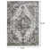 Raghdah Oriental Gray Area Rug