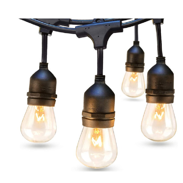 Boone Outdoor 15 - Bulb 576'' Plug-in String Light