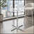 Transparent / argent
