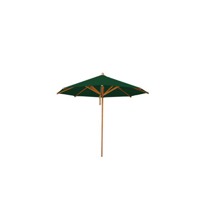 Yadira Market Parasol