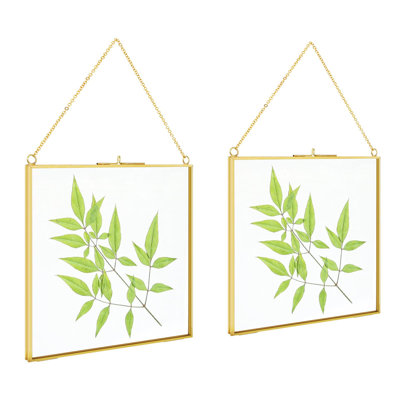 2 cadres photo suspendus en laiton 8 pièces 8 x 8 pouces, double cadre en verre pour fleurs pressées, cadre de photos d'art mural rétro transparent