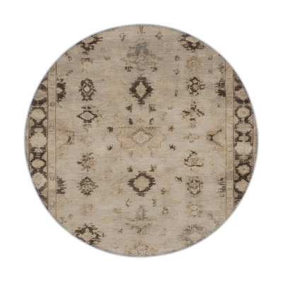 Overdyed Gray Indoor and Outdoor Area Rug