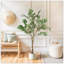 Ficus artificiel avec pot-1532519814