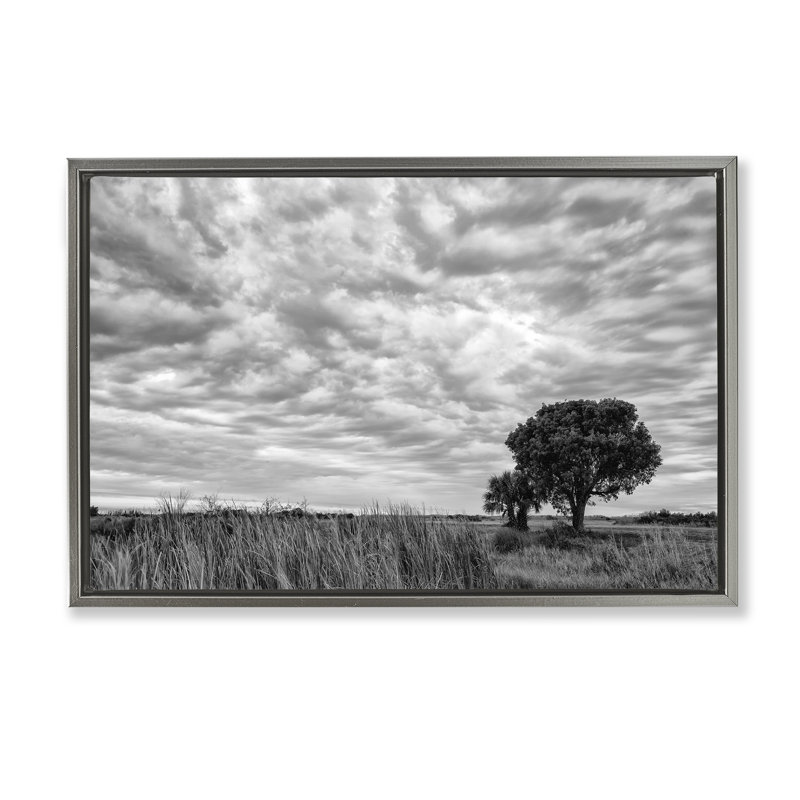 Cadre flottant solitaire arbre sous les nuages, design par Jon Evan, Cadre flottant gris lustré, H 17 po x l 25 po
