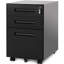 Murrah 41cm Wide 3 -Drawer Mobile Steel File Cabinet-168632748