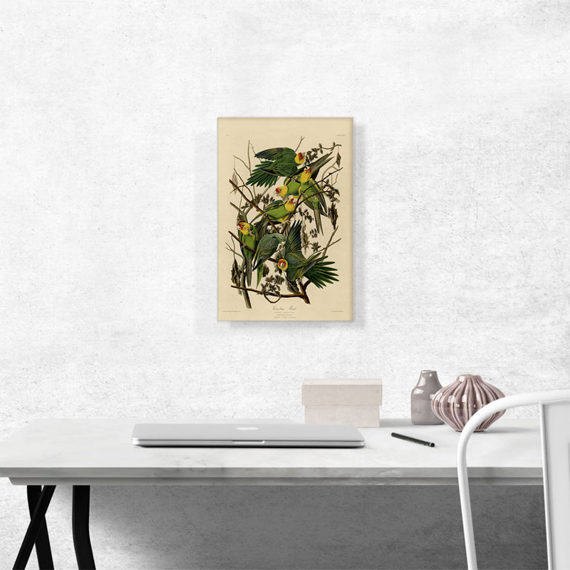 «Carolina Parrot» par James Audubon, impression sur toile tendue, H 18 po x l 12 po x P 0,75 po