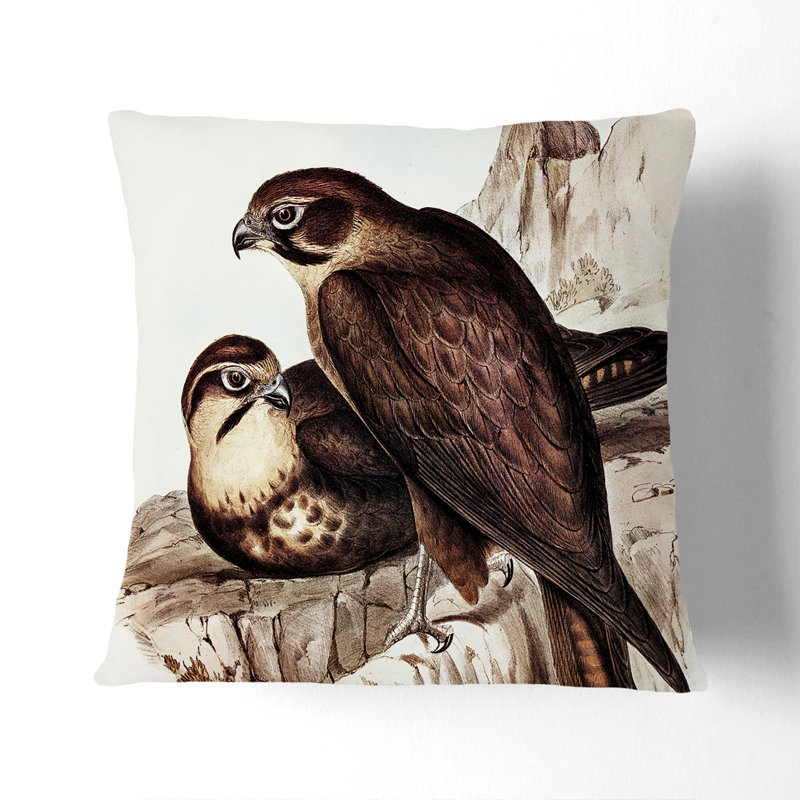Brown Hawks Square Throw Cushion, 55cm H x 55cm W x 20cm D