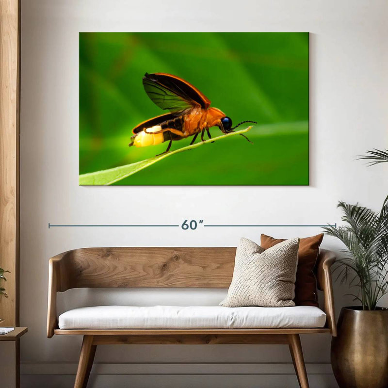 Brampt Firefly, 32" H x 48" W