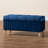 Velvet Ottoman-1630420222